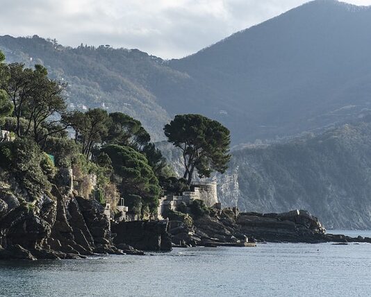 Ile kosztuje wymiana wybieraka skrzyni biegów?