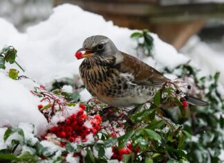 Czy przepustnica w wydechu jest legalna?