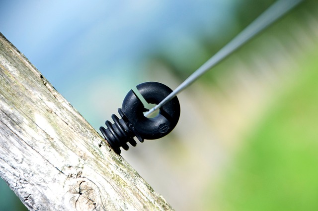 Ile procent Polaków nosi kalesony? Ile procent Polaków nosi kalesony?