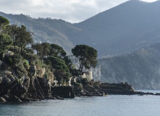 Ile kosztuje wbicie haka w dowód rejestracyjny?