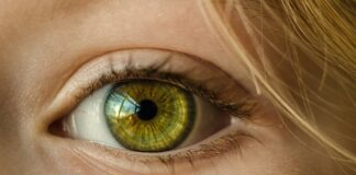 Ile kosztuje obszycie gałki zmiany biegów?