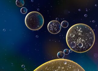 Ile kosztuje wymiana dynamiczna oleju?