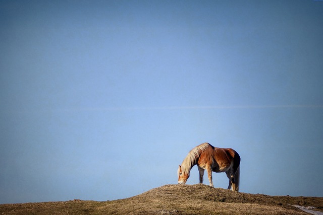 Co to znaczy sprzęgła? Co to znaczy sprzęgła?
