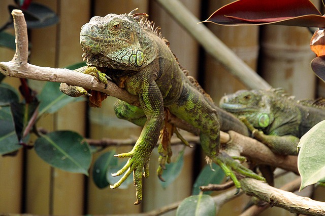 Czy można jeździć z odpinanym hakiem? Czy można jeździć z odpinanym hakiem?
