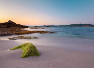 Ile na godzinę jedzie motor 50?