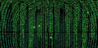 Skąd nazwa VW Polo?