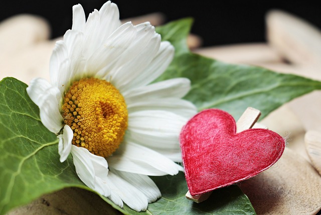 Kiedy zacisk hamulcowy jest do wymiany? Kiedy zacisk hamulcowy jest do wymiany?