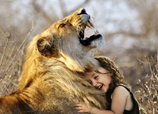 Jaka jest najlepsza Terenówka? Jaka jest najlepsza Terenówka?