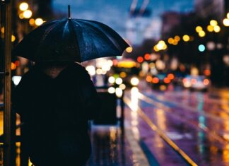 Czy w Euro Truck Simulator 2 można grac na padzie?