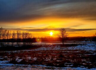 W jakiej sytuacji kierowcą samochodu ciężarowego może spodziewać się zjawiska Fadingu?